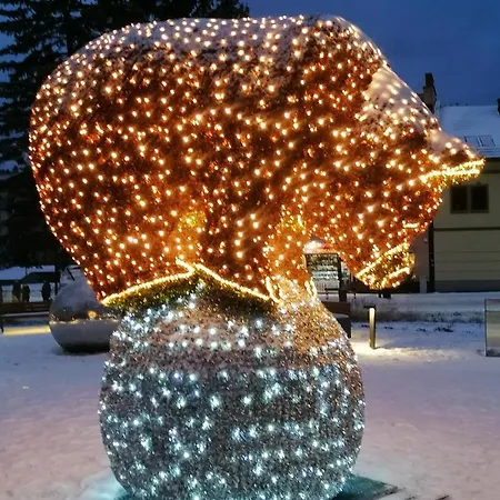 Widokowy Z Tarasem Bukowa *