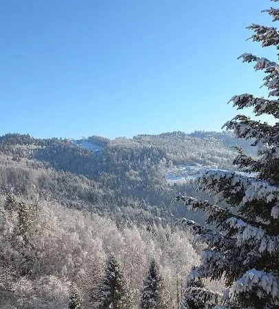 Lägenhet Widokowy Z Tarasem Bukowa *