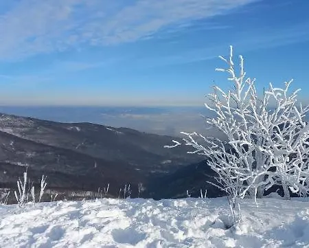 Widokowy Z Tarasem Bukowa