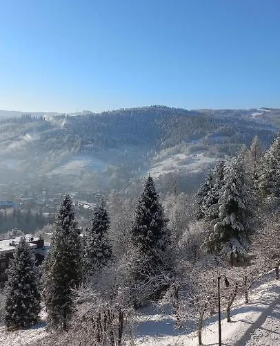 Widokowy Z Tarasem Bukowa * ויסלאו