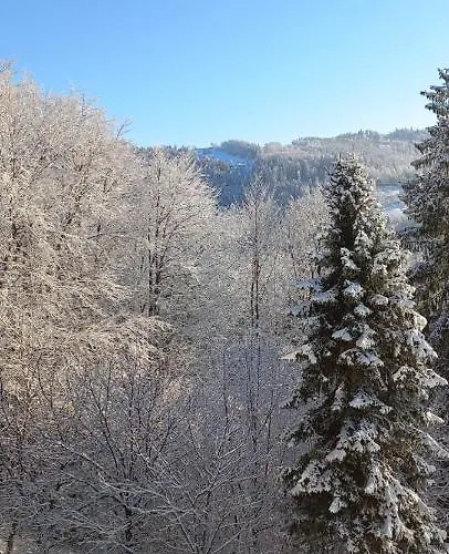 Widokowy Z Tarasem Bukowa דירה *