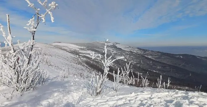 דירה Widokowy Z Tarasem Bukowa *