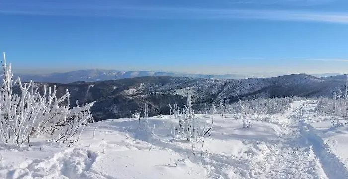 Widokowy Z Tarasem Bukowa ויסלאו