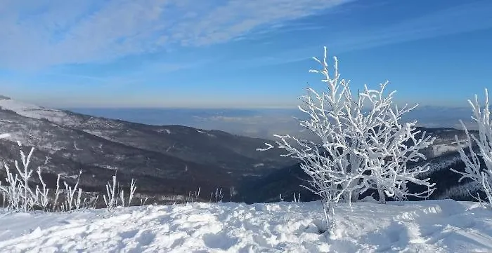 Widokowy Z Tarasem Bukowa